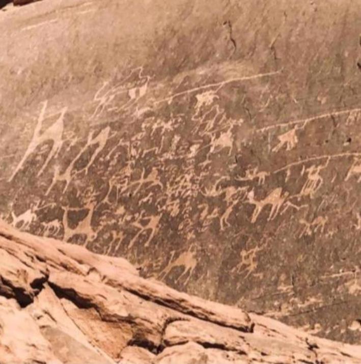 Hotel Star Magic Camp Wadi Rum Esterno foto