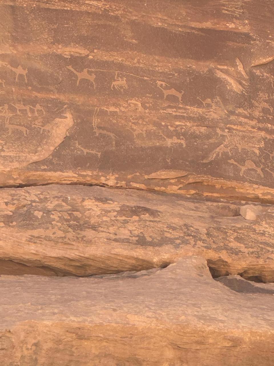 Hotel Star Magic Camp Wadi Rum Esterno foto